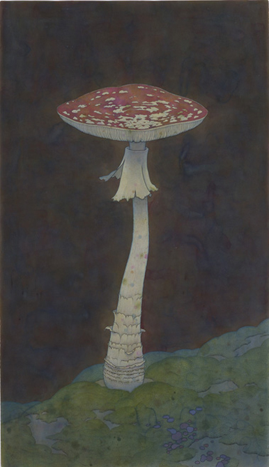untitled 2.jpg
