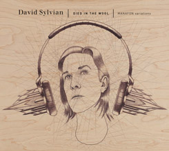 David Sylvian - Died in the Wool
