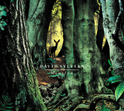 David Sylvian - Manafon