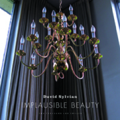 David Sylvian - Implausible Beauty