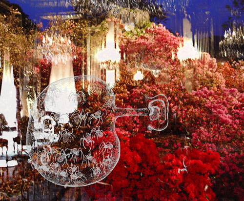 azaleas.jpg