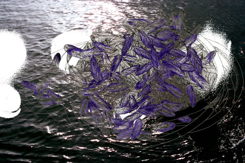 purplesea.jpg